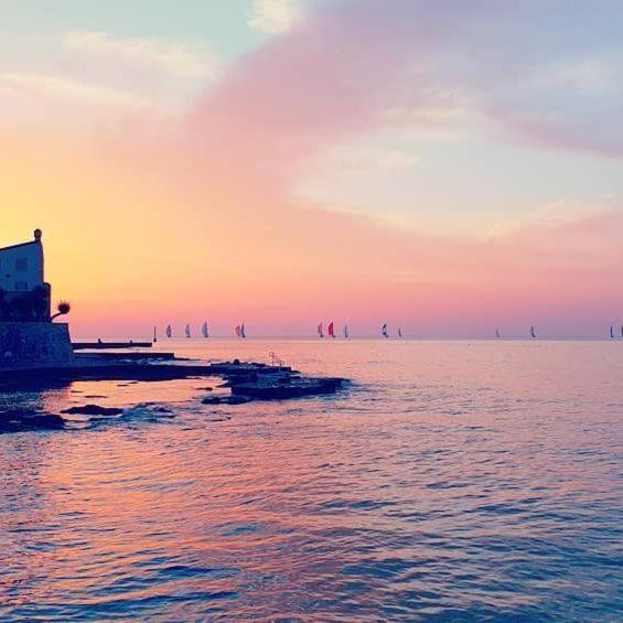 Apartmani Marina Porec Bagian luar foto