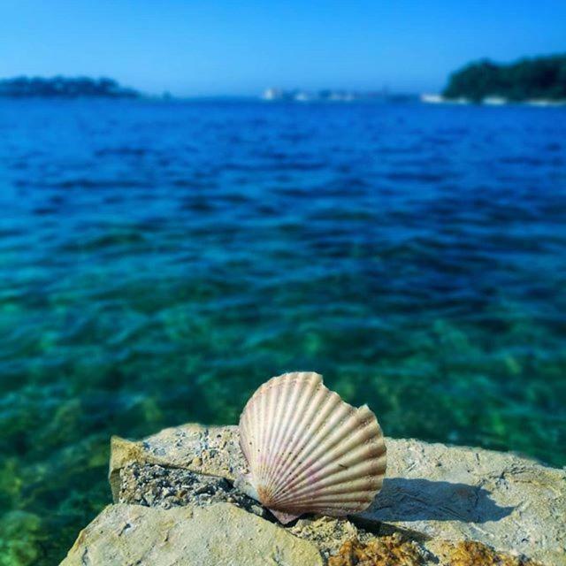 Apartmani Marina Porec Bagian luar foto